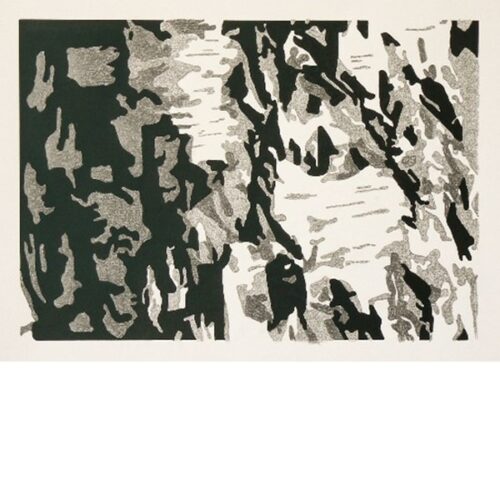 Bark I. Billedkunst af Anitha Fosgerau (B * H: 40 * 30 cm)