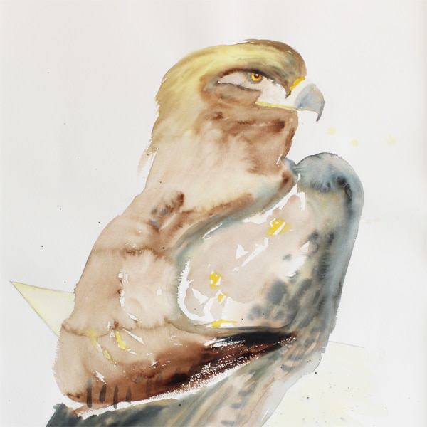 Rovfuglemotiv (48 * 65 cm). Akvarel af Antje Fries Harsberg