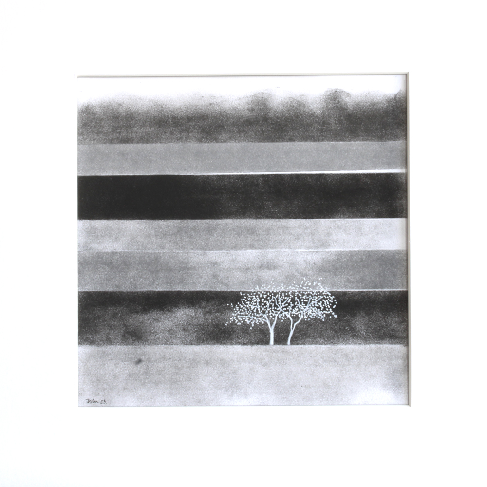Birketræer, tegnet af Torben Rasmussen B * H: 30 * 30 cm